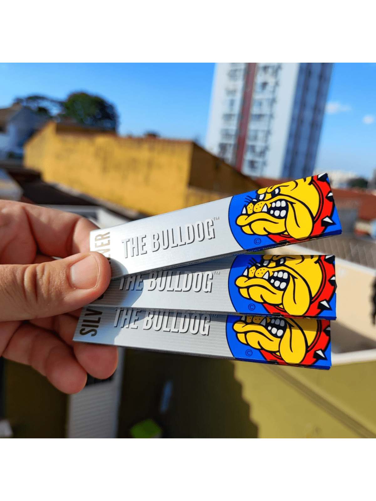 Seda The Bulldog Amsterdam Kit com 3 Livretos King Size Prata ou Brown Ceda Original