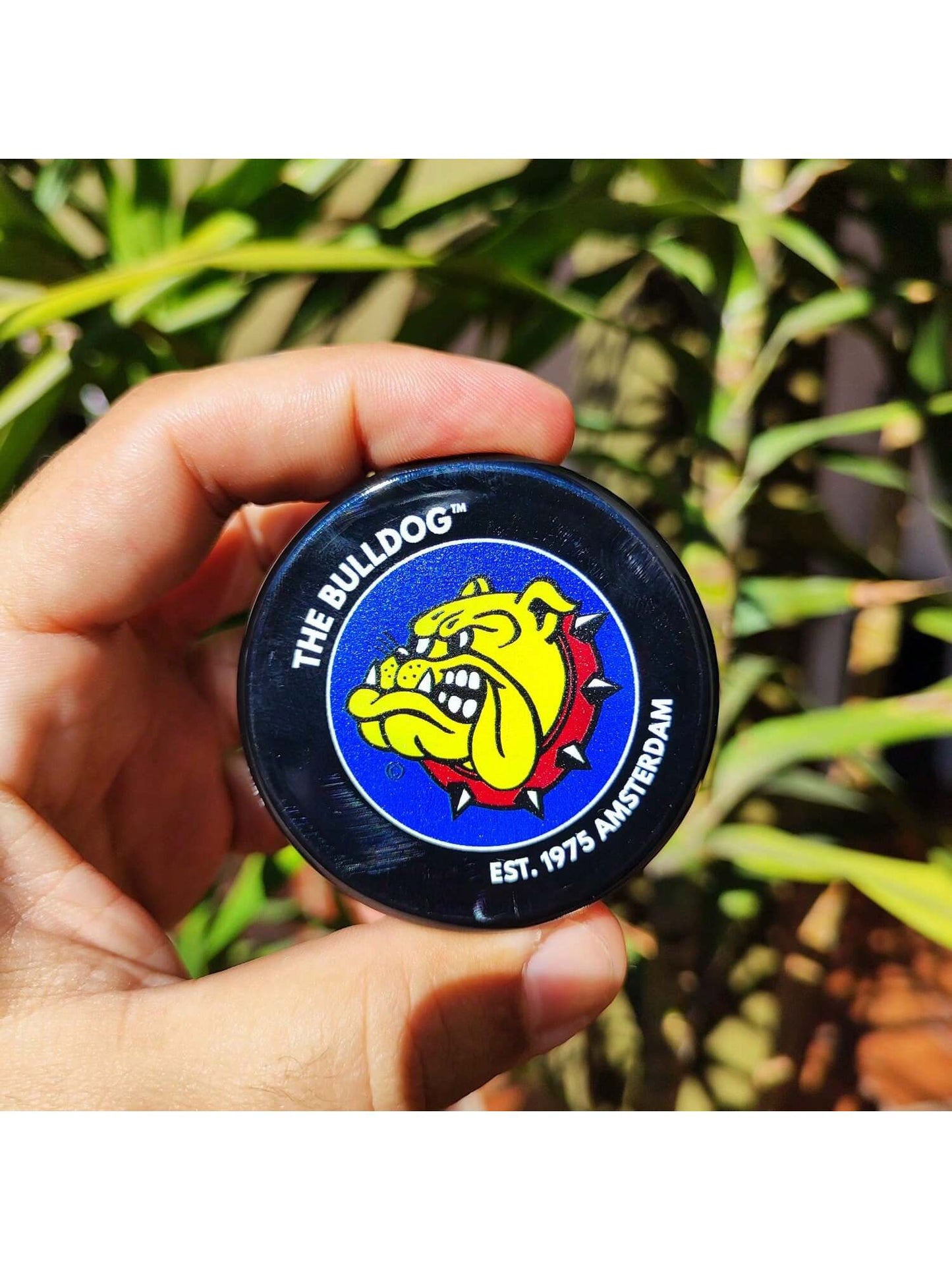 Dichavador The Bulldog Grande Com Imã